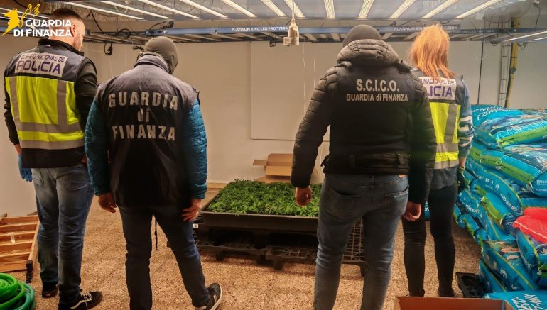 Stroncato un traffico internazionale di droga tra Italia e Spagna, 12 arresti / Video