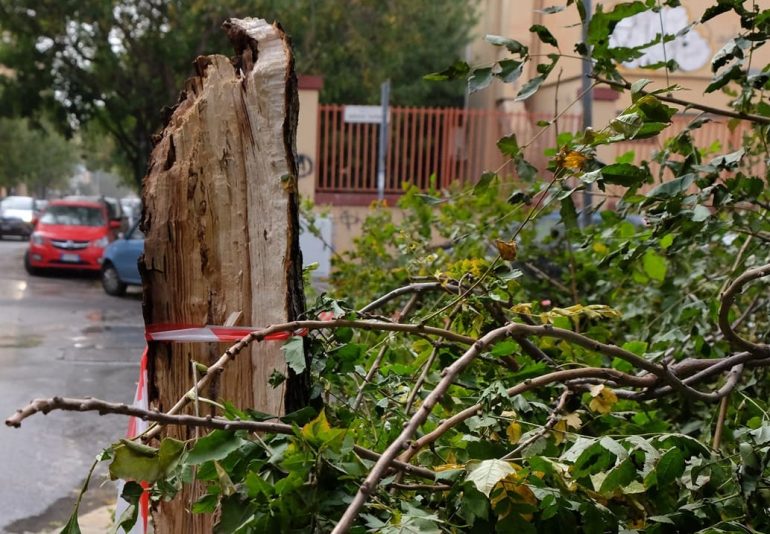 Danni e disagi per il forte vento a Palermo e provincia