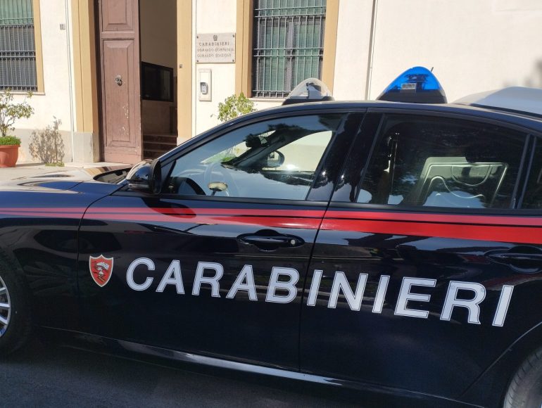 Trapani, rogo distrusse 83 ettari di bosco: arrestato dipendente di una struttura dipartimentale della Regione / Video