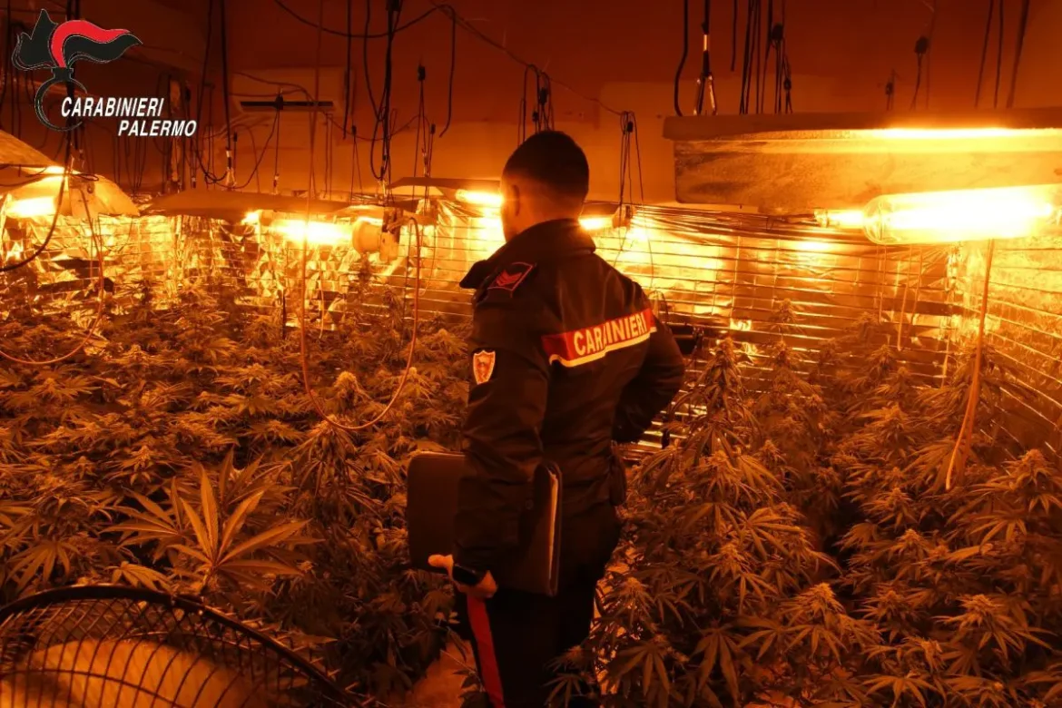 Scoperta a Carini una serra indoor per la produzione di droga, denunciate tre persone