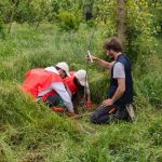 Ambiente, il Progetto Boschi di E.ON supera i 150.000 alberi piantati