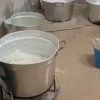 Dall’Ecuador al litorale laziale, smantellato cartello della cocaina