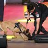 Cina, da inizio anno sequestrate oltre 4 tonnellate di droga alle frontiere
