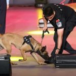 Cina, da inizio anno sequestrate oltre 4 tonnellate di droga alle frontiere