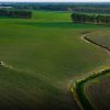 Portavoce Cina, pronti a facilitare commercio agricolo bilaterale con Usa
