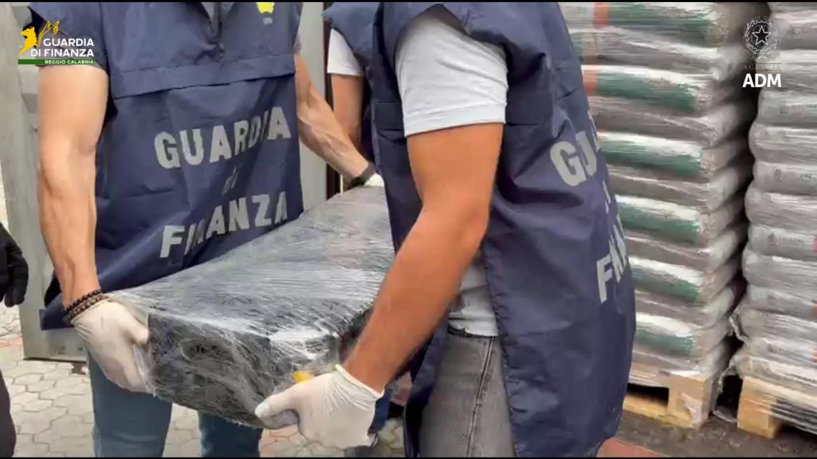 Sequestrati al porto di Gioia Tauro 113 kg di cocaina