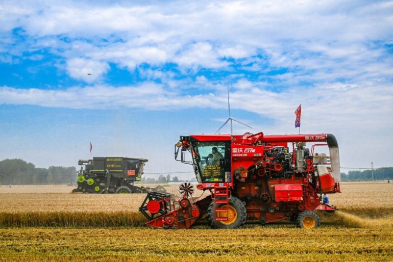 Cina, per la prima volta il raccolto di cereali estivi supera 150 mln tonnellate