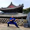 Cina-Italia, Angelo D’Aria “Arti marziali strettamente legate a cultura nazionale”