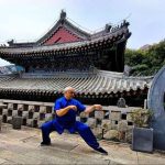 Cina-Italia, Angelo D’Aria “Arti marziali strettamente legate a cultura nazionale”
